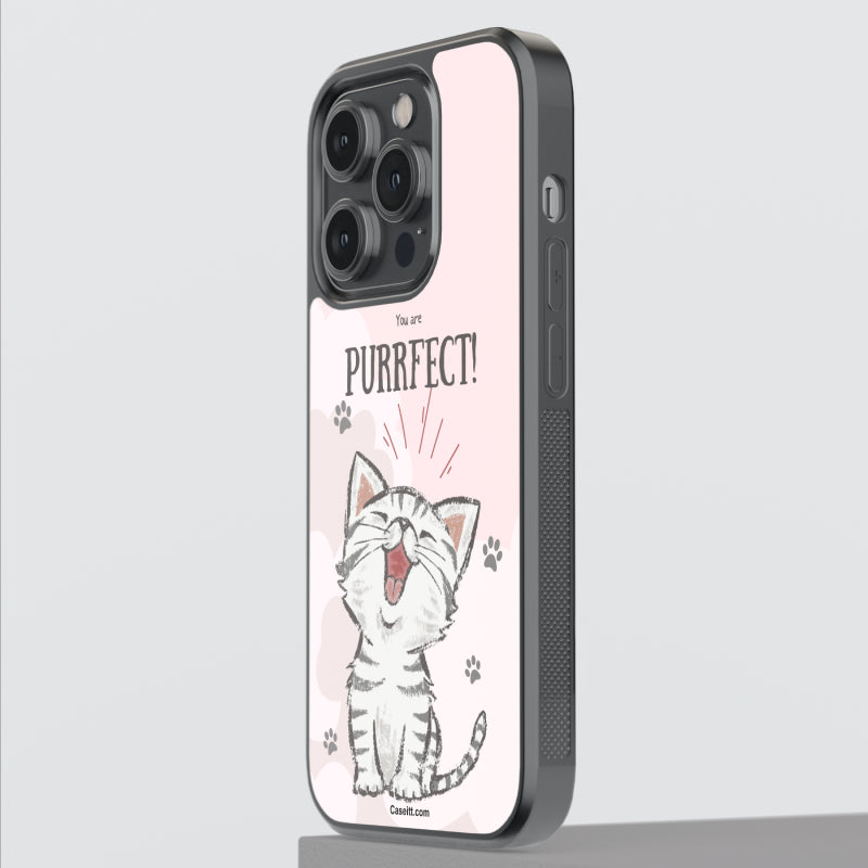 You are Purrfect iPhone Case