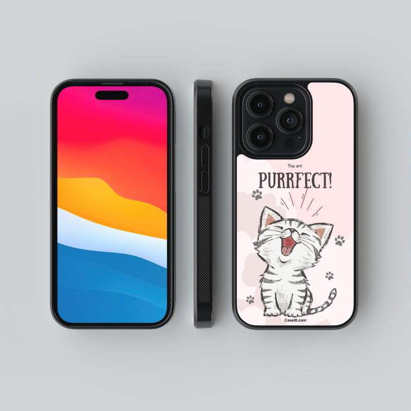 You are Purrfect iPhone Case