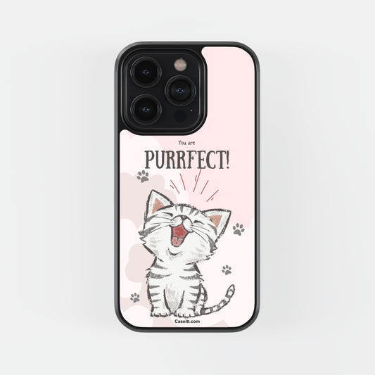 You are Purrfect iPhone Case